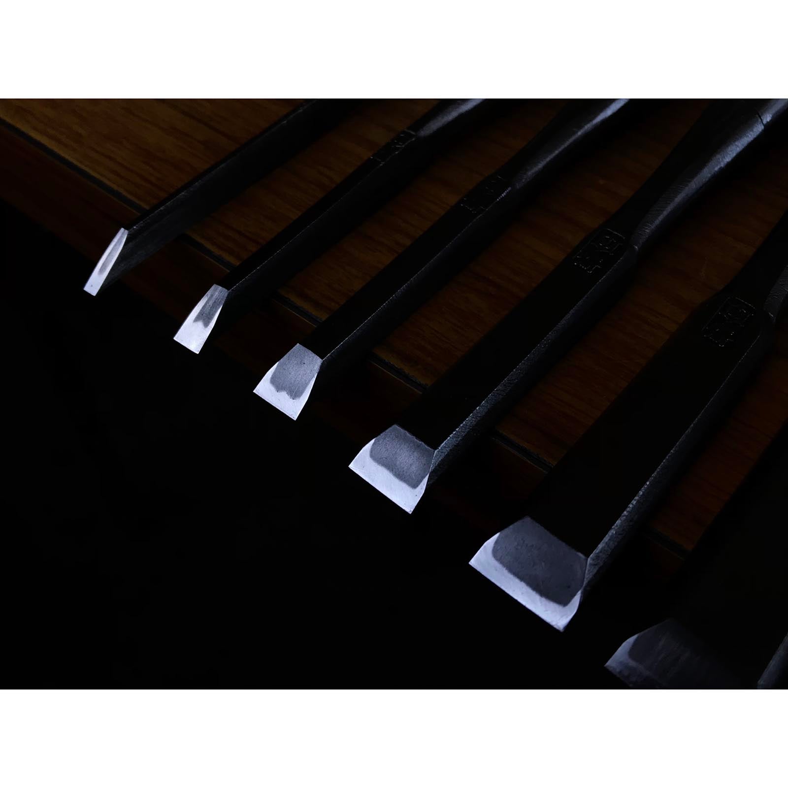Tasai #2 Bench chisels set with blue steel Oirenomi 田斎作 磨き仕上 追入組鑿