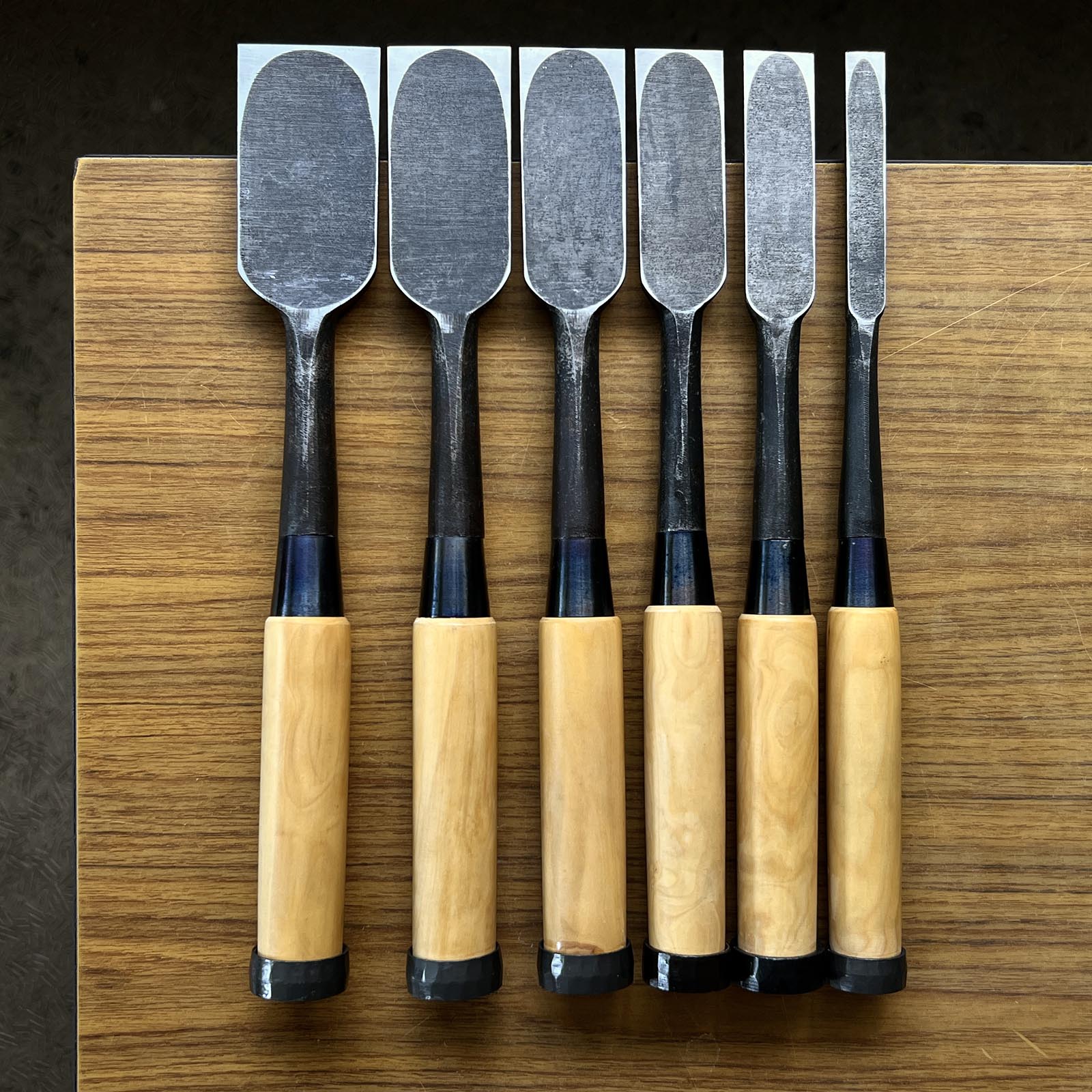 Kanetake Long neck Timber chisels by Takahashi Norikazu with boxwood handle 高橋典三作 カネ武 5分首長 叩鑿 黄楊柄 Tatakinomi 15,24,30,36,42,48mm
