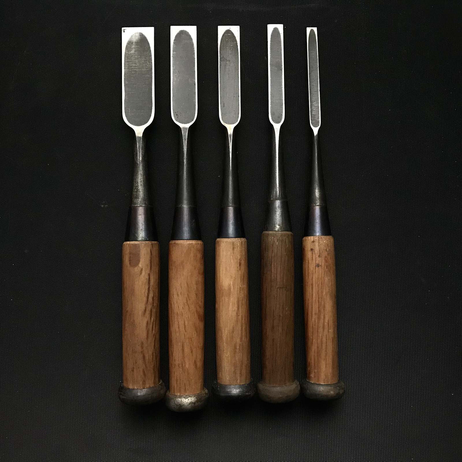Hidariichikuni Bench chisels by Hasegawa Fujisaku 長谷川藤作氏 左市國 追入鑿 Oirenomi