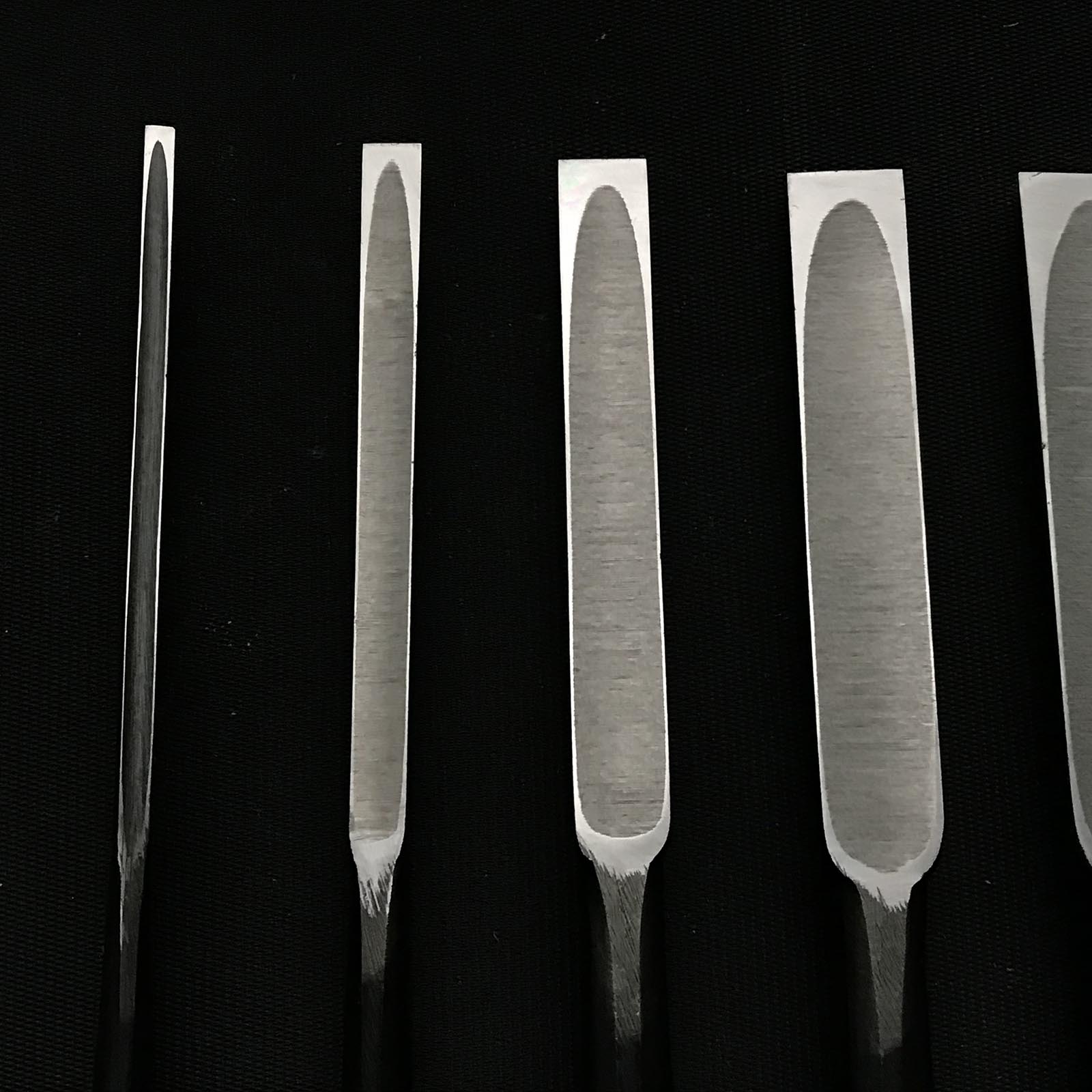 Tasai Shorter Medium Timber chisels set (Chutatakinomi) 田斎 田齋明夫氏 中叩き組鑿 10本組