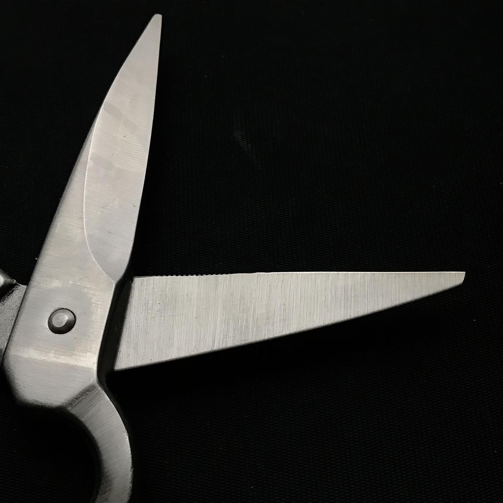 CREPE Japanese Hand made Kitchen Scissors by Hayashi Kougyo 林工業 鍛造料理鋏 200mm