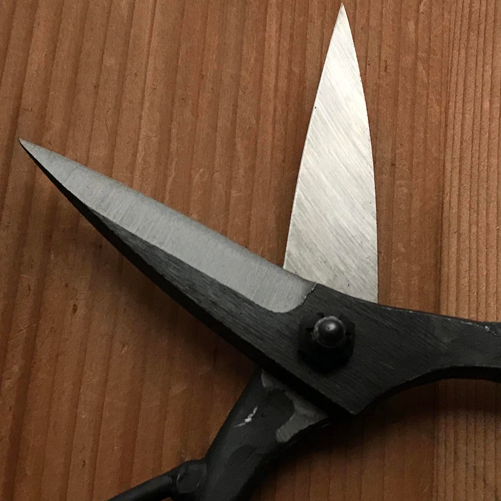 Old stock Hand made Okubo Shears By Munehiro 掘出し物 宗寬 大久保鋏 手作り 205mm