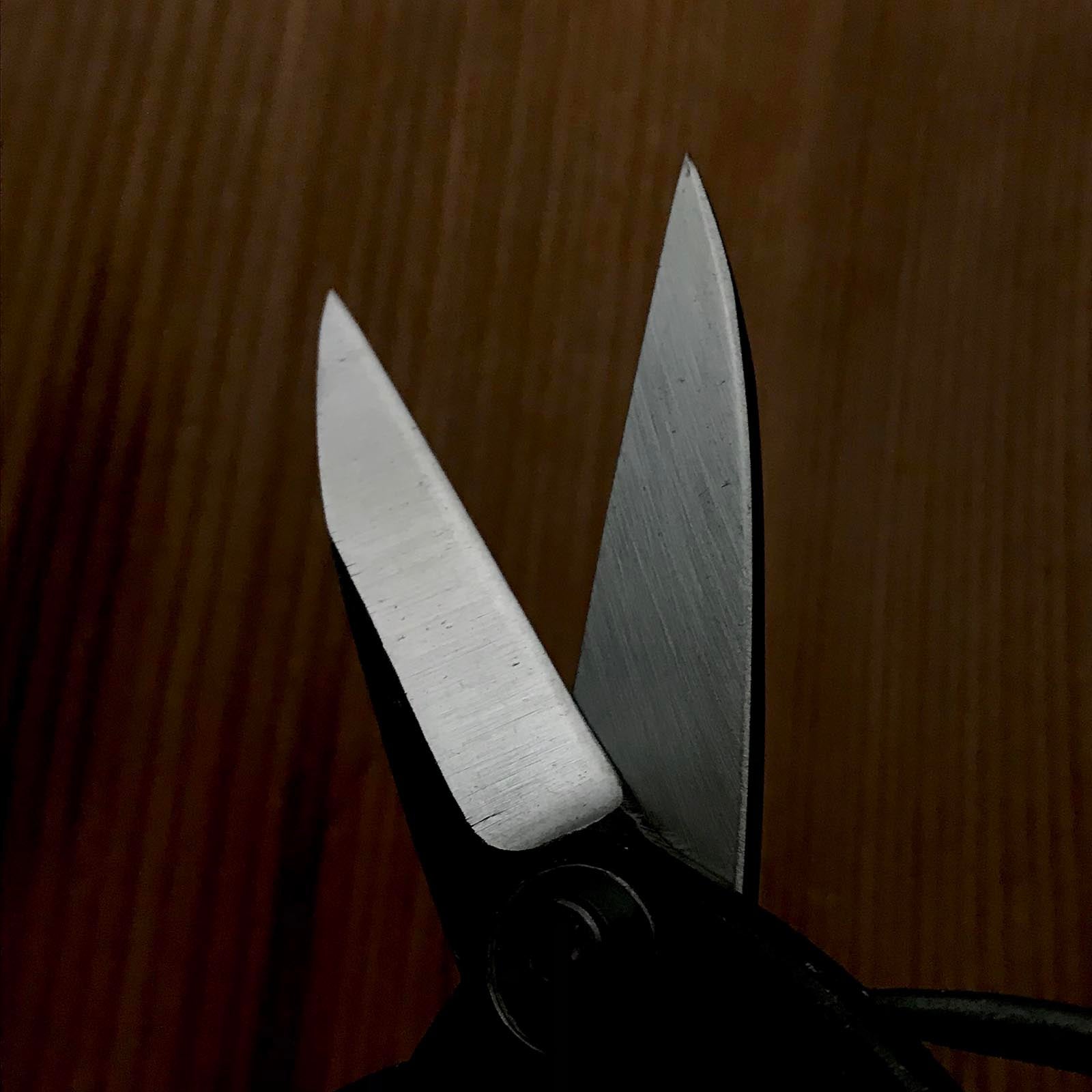 Old stock Hand made Okubo Shears By Kouetsu 掘出し物 侊悦 大久保鋏 手作り 190mm