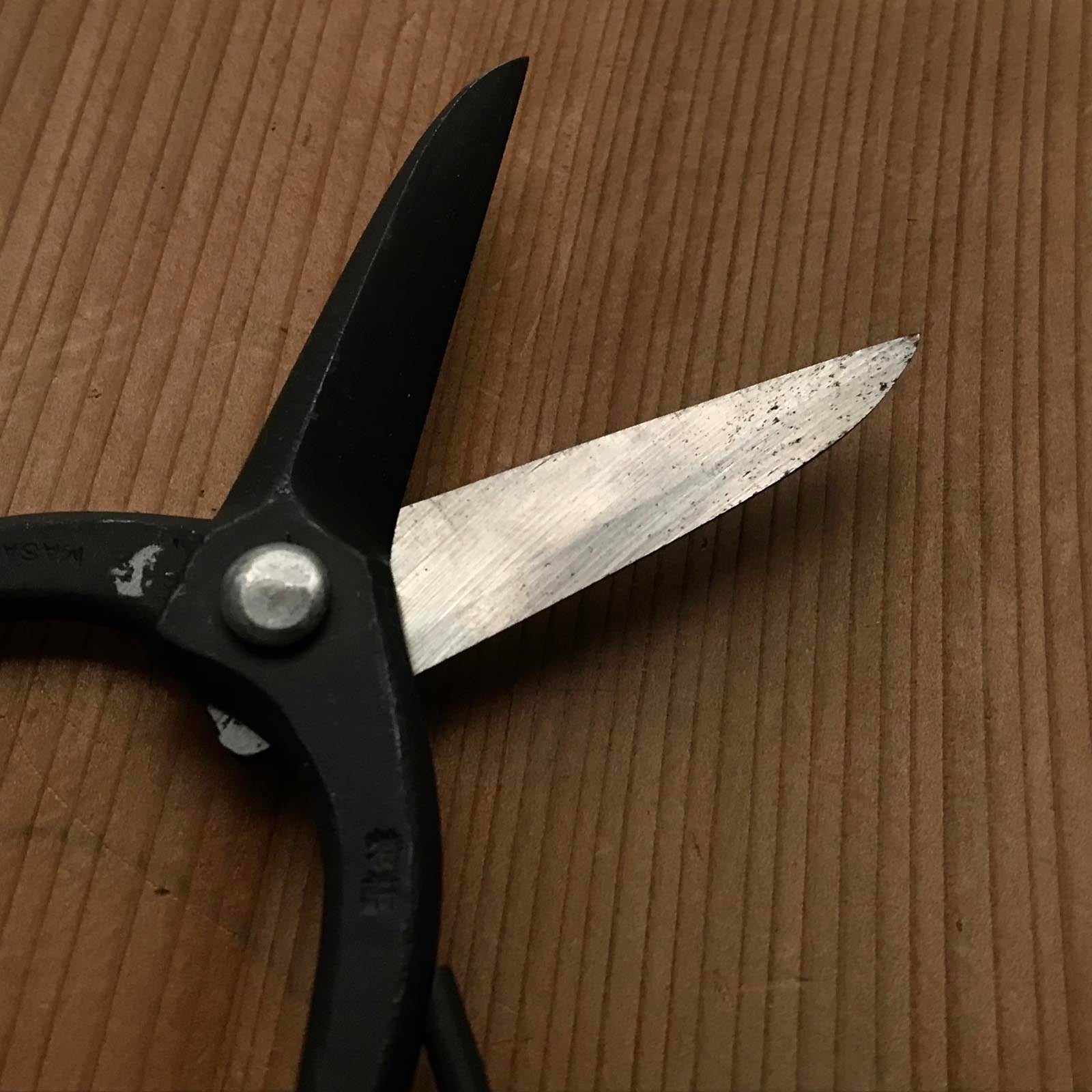 Old stock Hand made Bonsai Shears By MASAKUNI 掘出し物 昌国 盆栽鋏 手作り 185mm