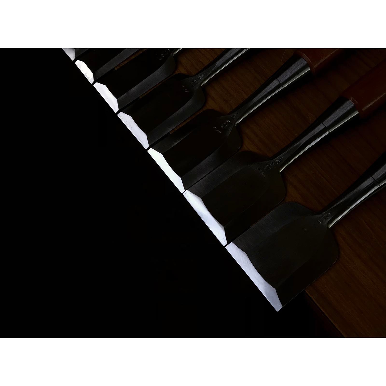 四代助丸 碓氷淑郎 ハイス鋼追入鑿 15本組 Sukemaru 4th High-Speed Steel Bench chisels set