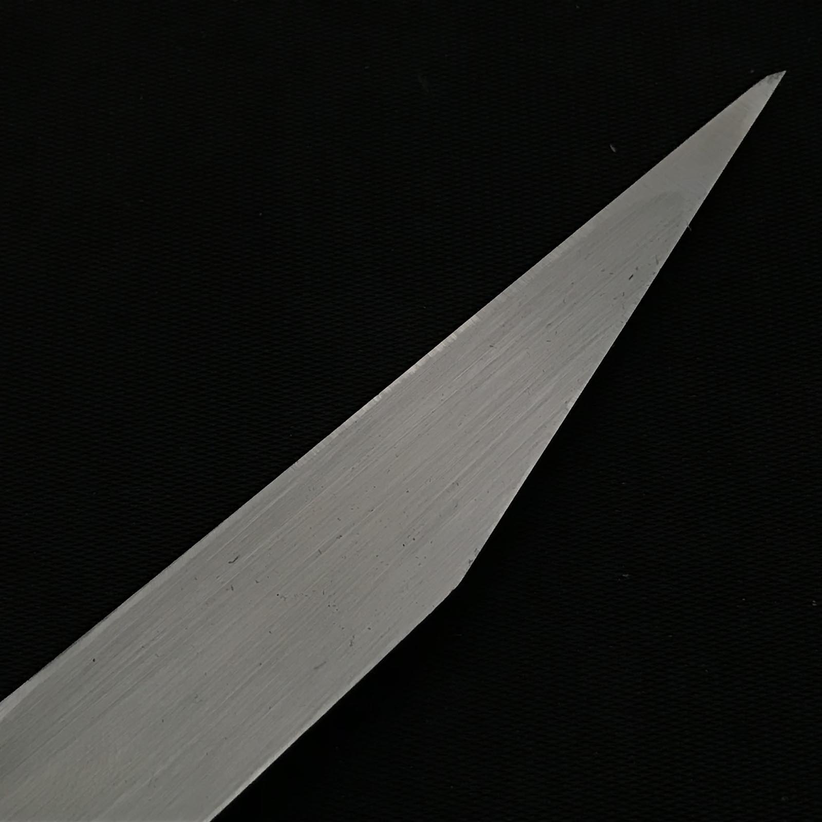 旧蔵 坂光 初代坂光作 白柿 5分&6分右