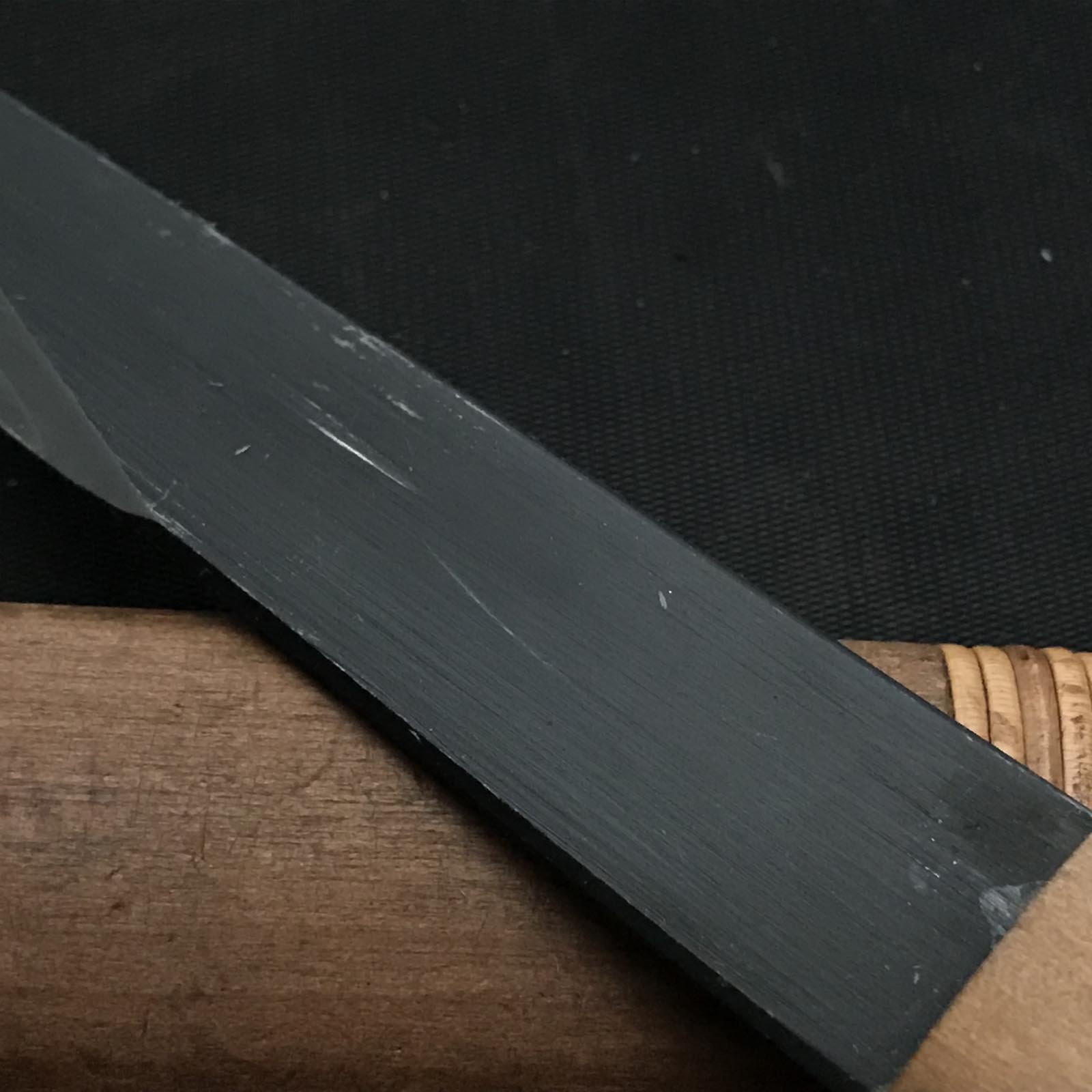 旧蔵 坂光 初代坂光作 白柿 5分&6分右