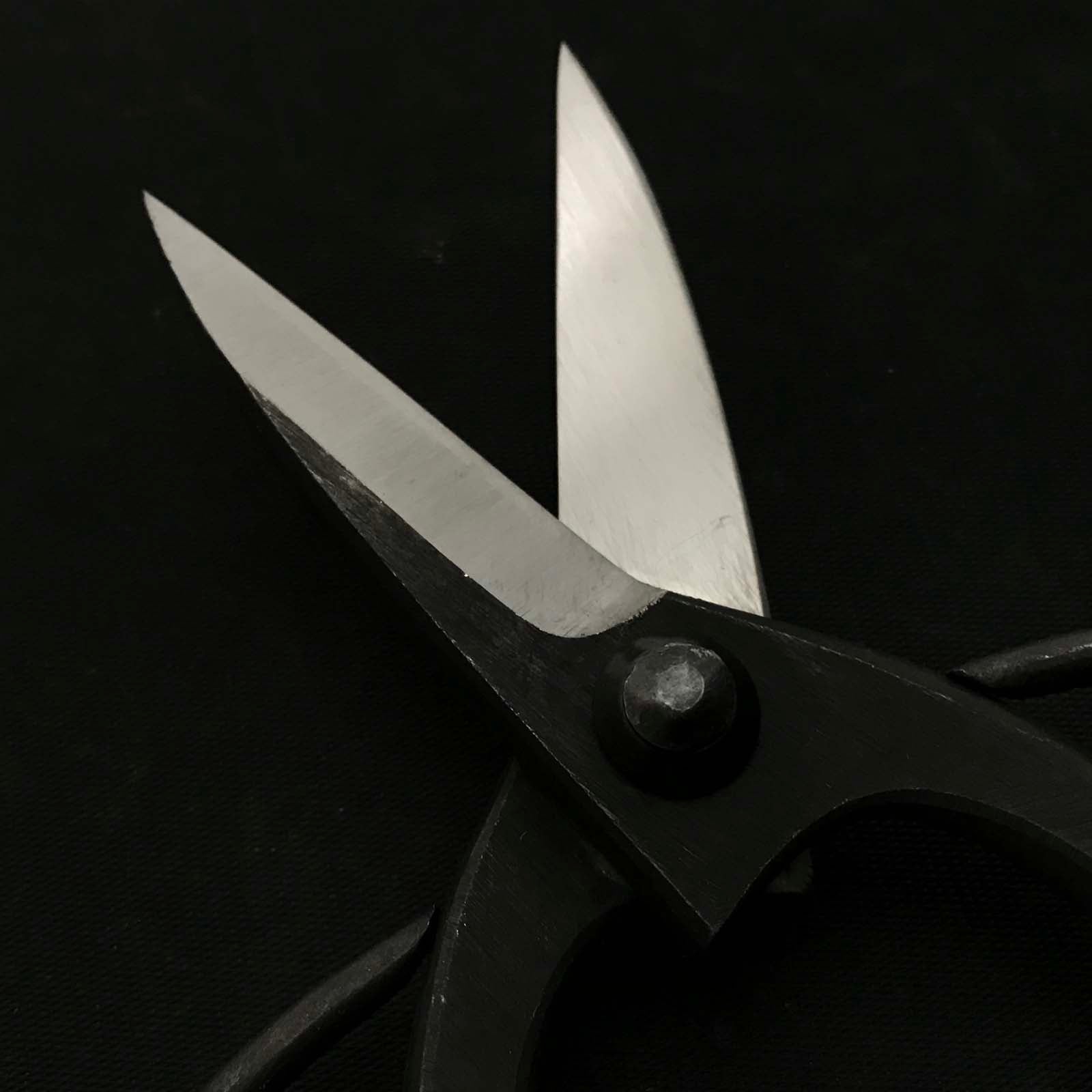 Kouetsu 侊悦 | Okubo Shears 大久保鋏 | Hand made 手作り | 190mm