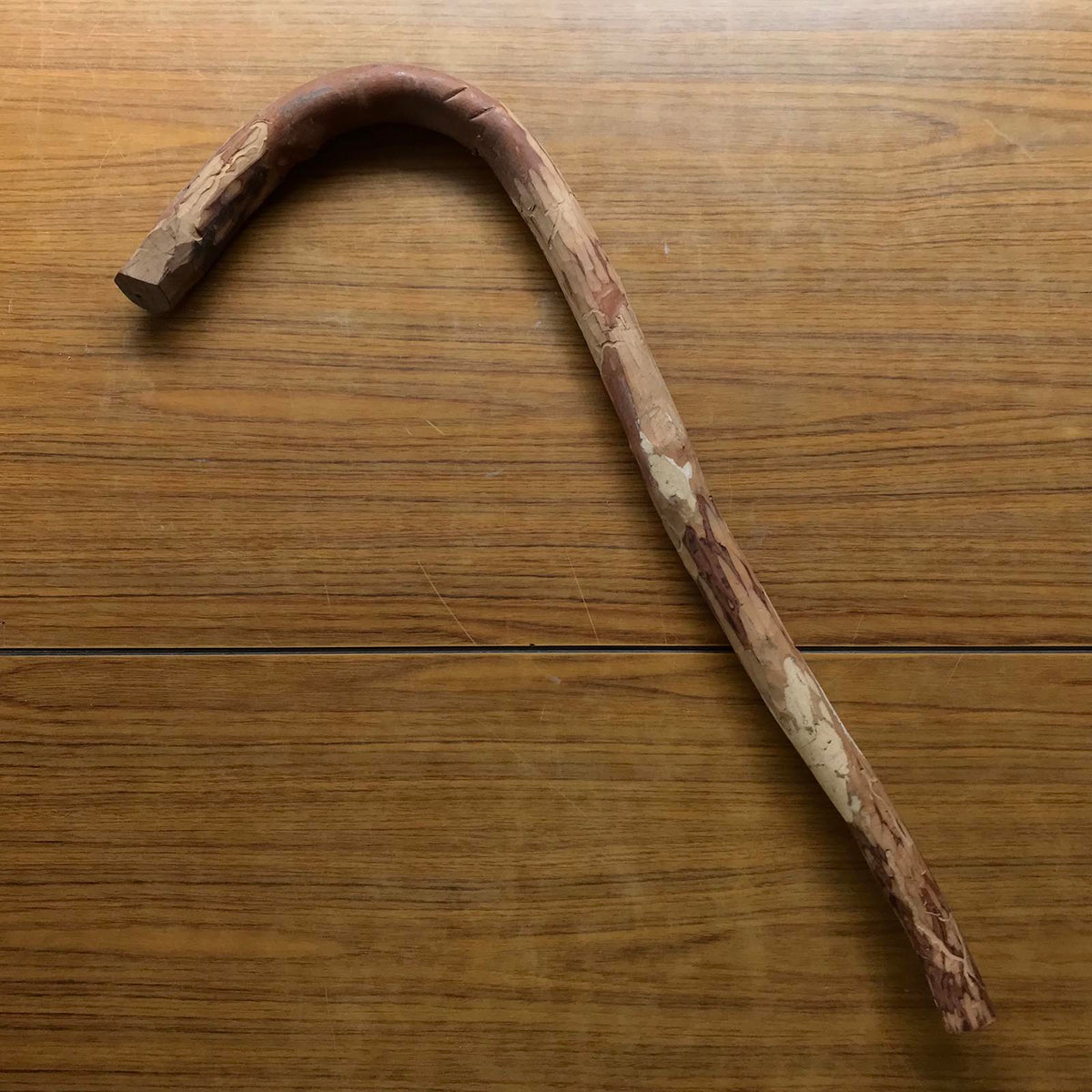槐木釿の柄3号「Styphnolobium japonicum」の柄