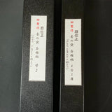 Tasai Fusetsu Slick Chisels (Anayanomi) 田斎風雪 磨仕上 香の突穴屋鑿 白樫柄 13.5mm 35mm
