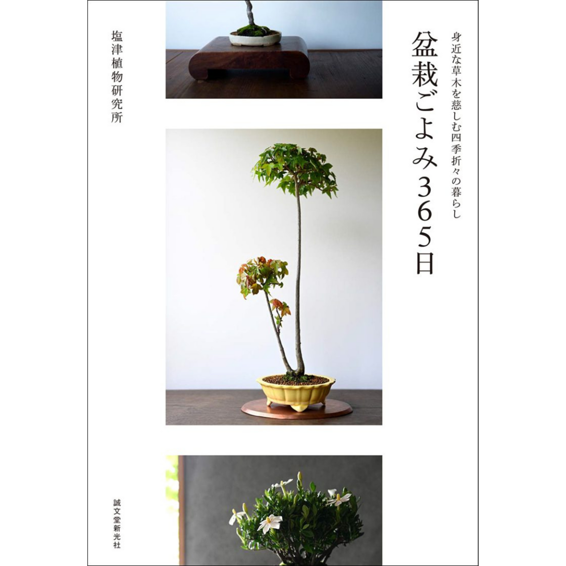 盆栽ごよみ365日 身近な草木を慈しむ四季折々の暮らし The 365 Days of