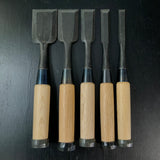 Ioroi Bench chisels White Steel  (Oirenomi) 五百蔵作 追入鑿