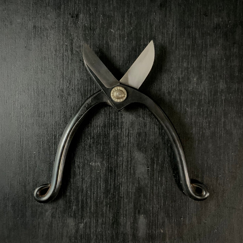 Old stock Genzo Flower shears “Ikenobou“  掘り出し物 源造 池坊鋏  150mm