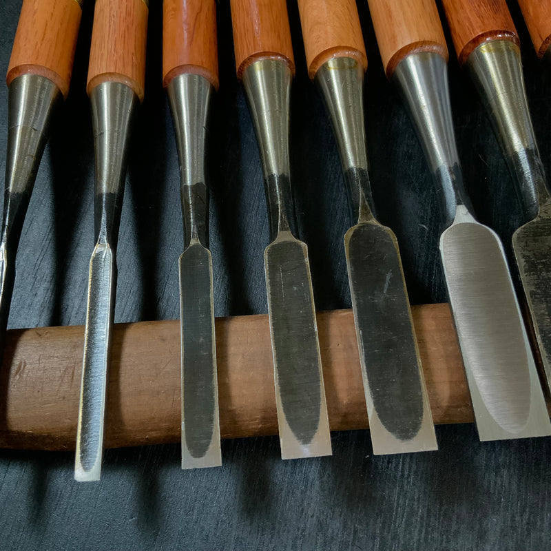 Old stock Kakukou Bench chisels set (Oirenomi) 郭公 追入組鑿  10本組