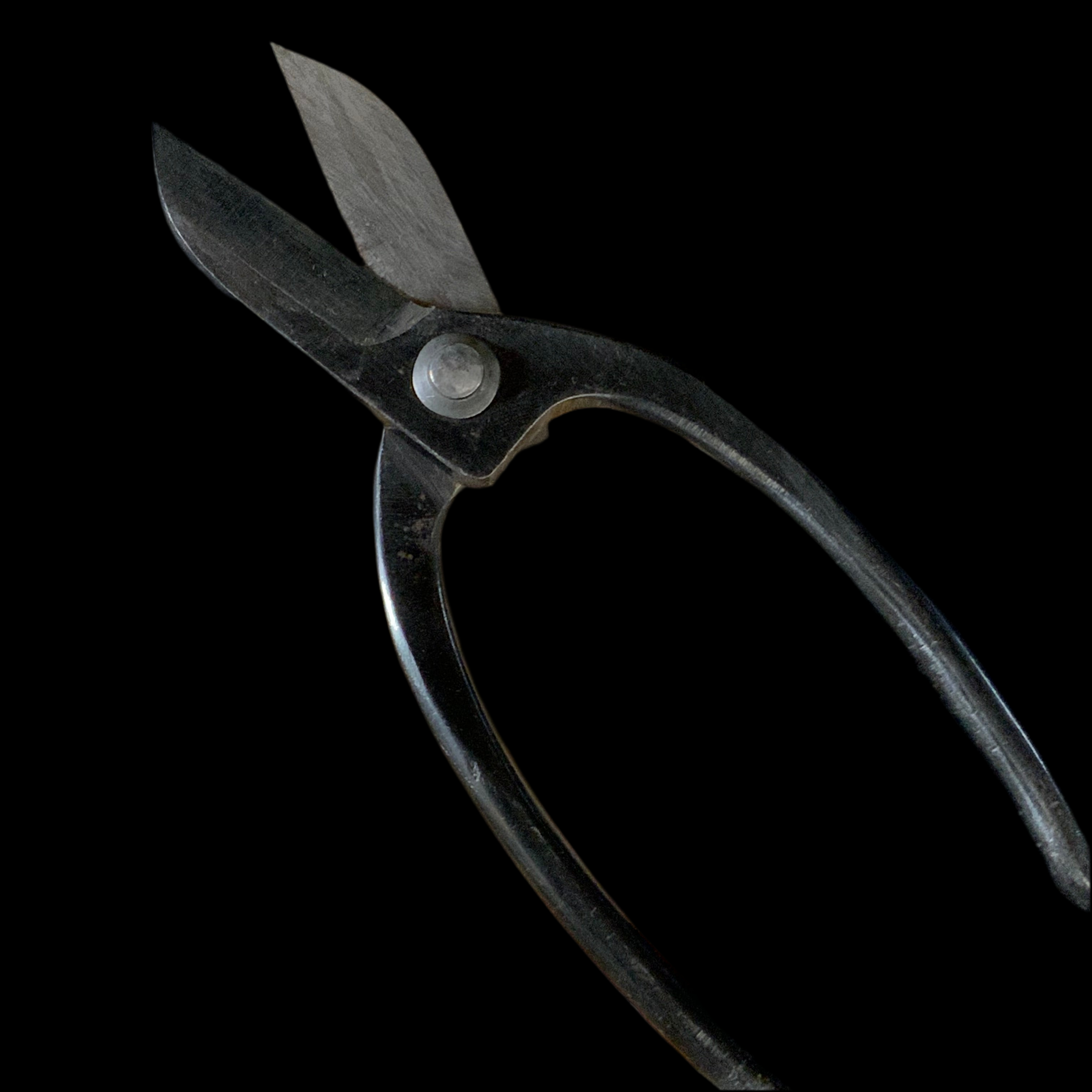 Old stock Kiyonobu Flower shears “Ikenobou“  掘り出し物 清信 池坊鋏  170mm