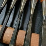 Old stock Kakukou Bench chisels set (Oirenomi) 郭公 追入組鑿  10本組