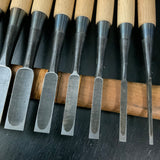 Takashiba Bench chisels set (Oirenomi) with wooden box 高芝 追入組鑿 白紙鋼 桐箱付