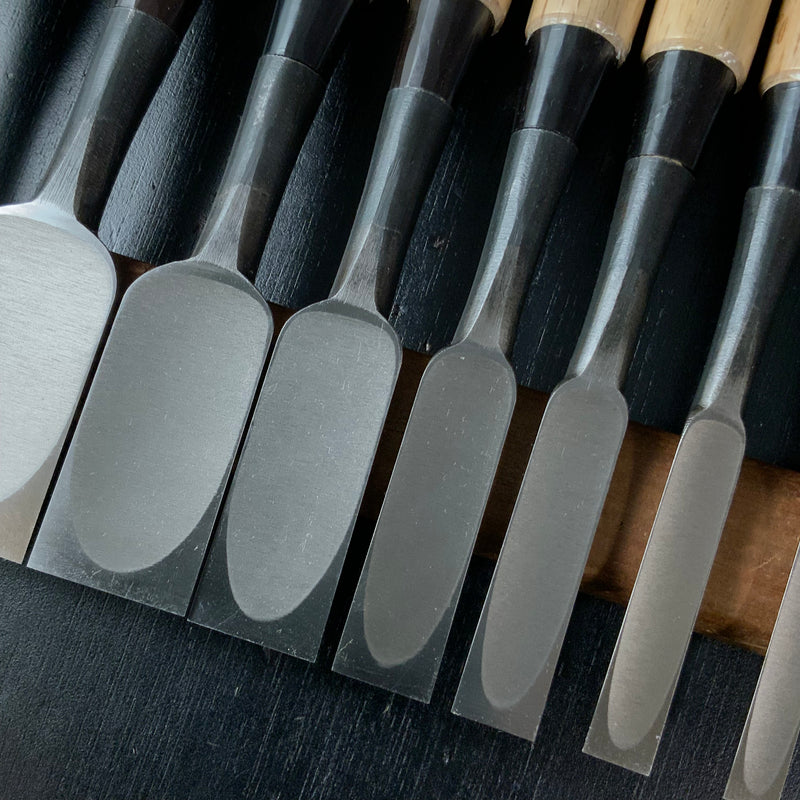 Tasai Dovetail Bench chisels set with blue steel Oirenomi 田斎作 黒仕上 鎬追入組鑿 10本組