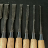 Ioroi Bench chisels set (Oirenomi) by Blue steel  五百蔵作 追入組鑿 青紙鋼