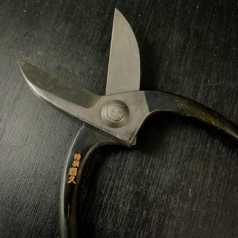 Old stock Teruhisa Flower shears   /   掘り出し物 輝久  花鋏  150mm