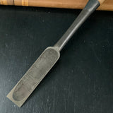 Tasai Special  Dovetail Paring chisels with blue steel   田斎作 鎬薄鑿 白樫柄 24mm usunomi