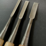 Tasai Special Bench chisels (Oirenomi) with blue steel  田斎作 磨き仕上 追入鑿　7mm / 10mm / 13mm