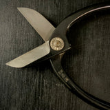 Old stock Genzo Flower shears “Ikenobou“  掘り出し物 源造 池坊鋏  150mm