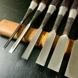 Tasai Mokume Special Bench chisels set  with Rosewood handle 田斎作 木目造り 追入組鑿  10本組 紫檀柄