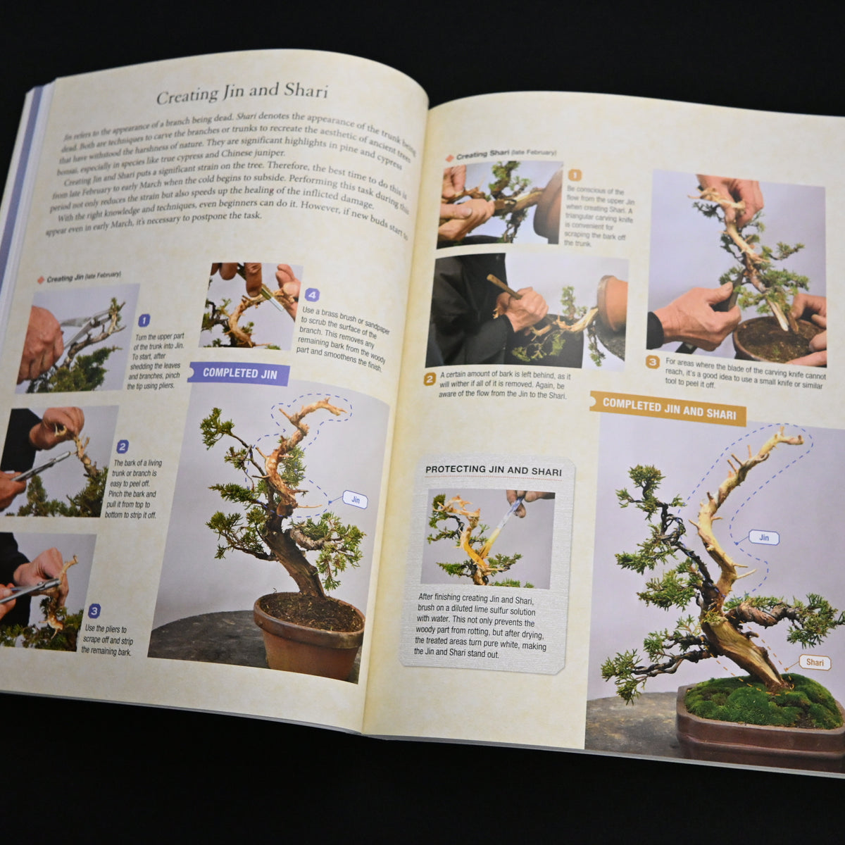 Bonsai Master Class 『小林國雄のイチから教える盆栽』（西東社刊）英訳版