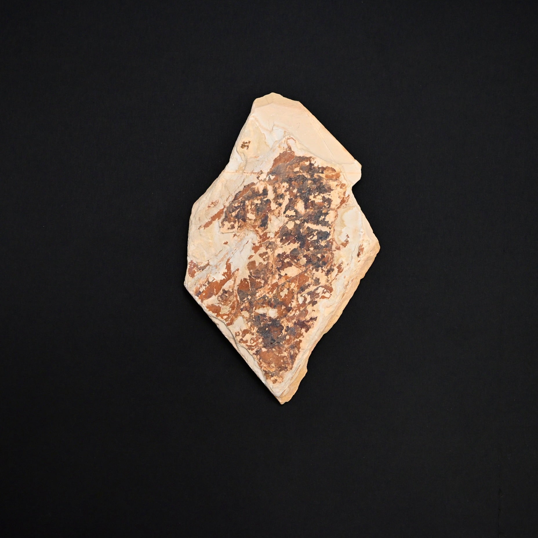 #T26  Shinsho Honyama Awase Japanese Natural Finishing Stone  真正本山合砥石 天然仕上げ砥石
