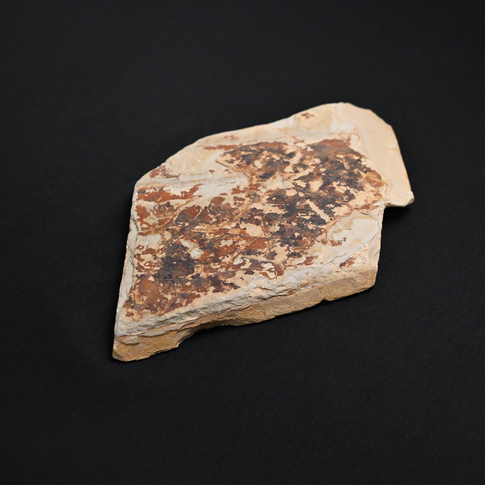 #T26  Shinsho Honyama Awase Japanese Natural Finishing Stone  真正本山合砥石 天然仕上げ砥石