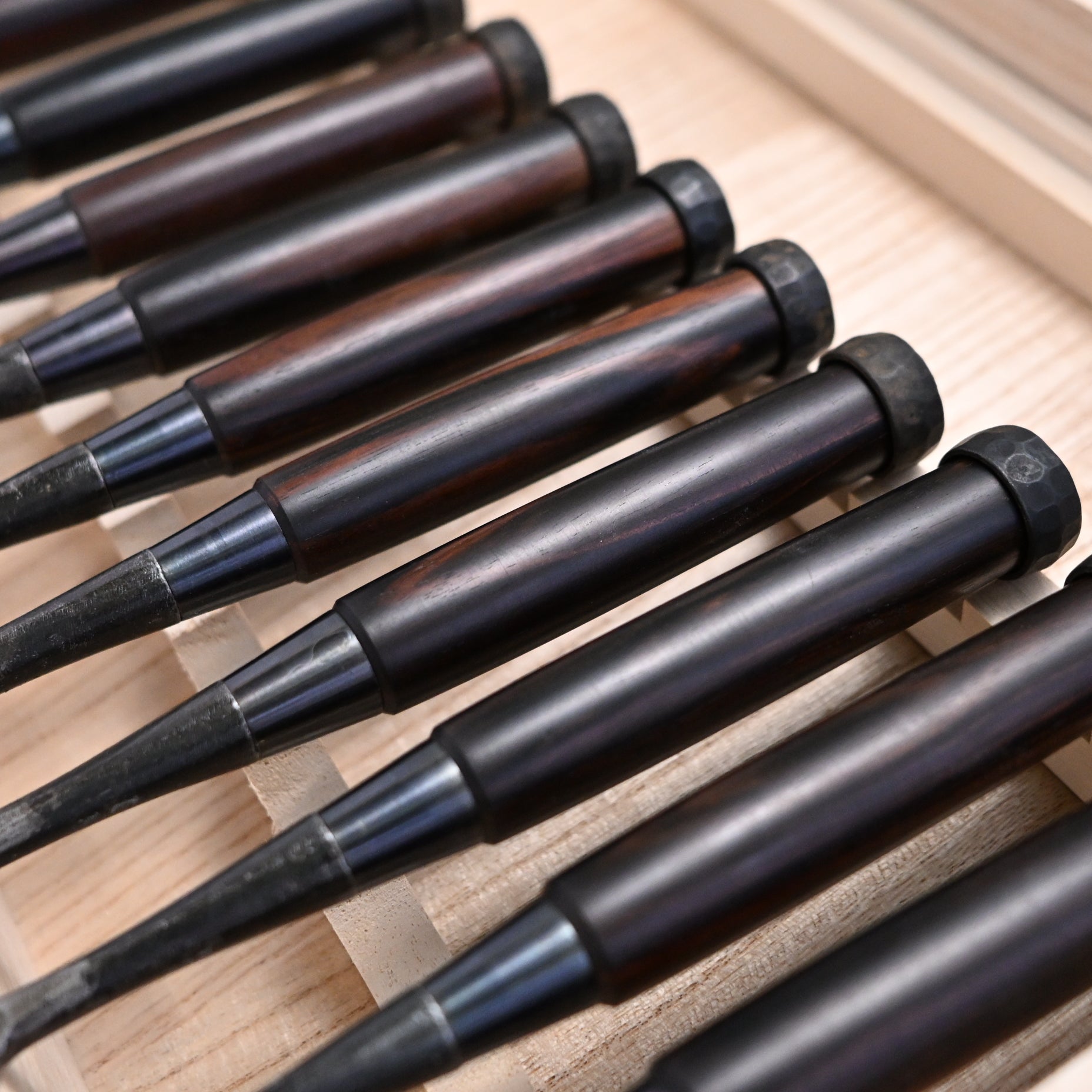 Kanetake Bench chisels set with Ebony Handle by Takahashi Norikazu  高橋典三作 カネ武 追入組鑿 黒檀柄