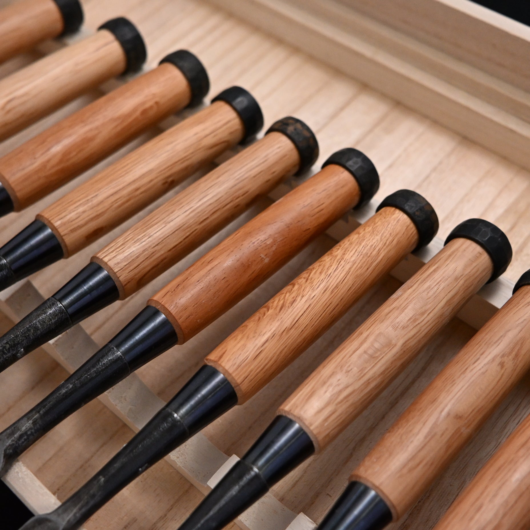 Kanetake Bench chisels set Red oak handle by Takahashi Norikazu 高橋典三作 カネ武 追入組鑿 赤樫柄