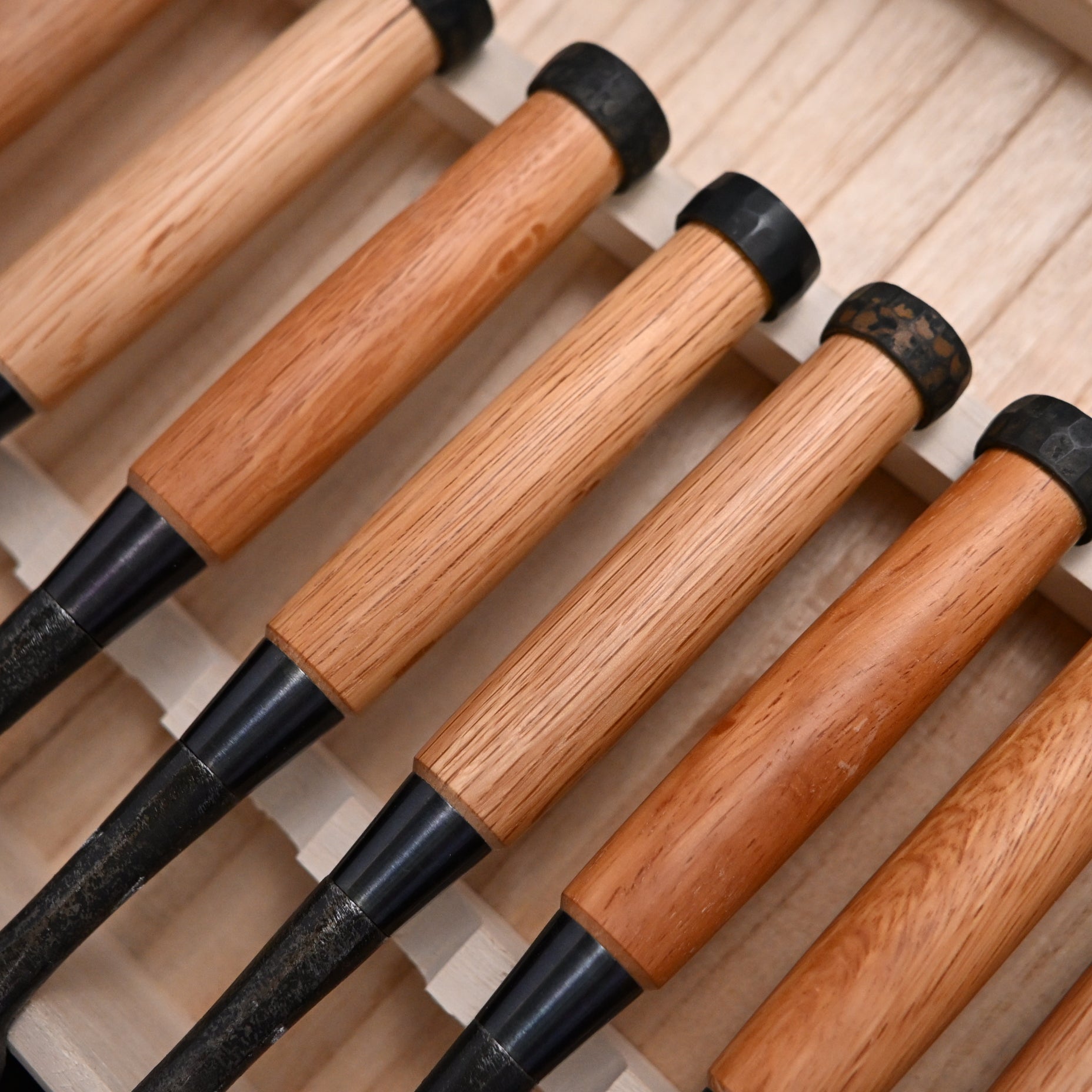 Kanetake Bench chisels set Red oak handle by Takahashi Norikazu 高橋典三作 カネ武 追入組鑿 赤樫柄