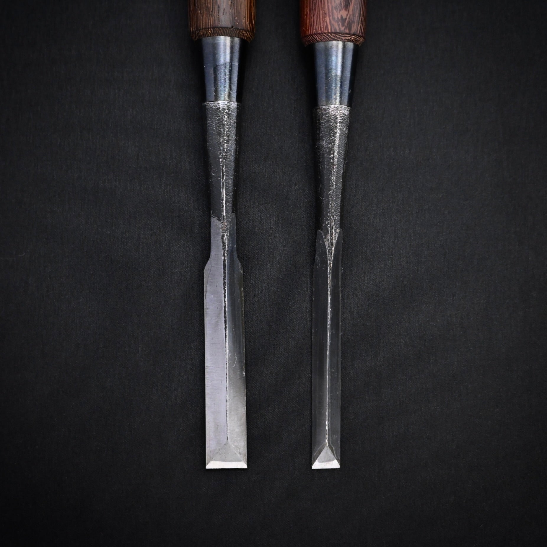 カネ武 鎬 追入鑿 タガヤサン柄 高橋典三作   Kanetake Dovetail chisels Bombay Blackwood Handles by Takahashi Norikazu
