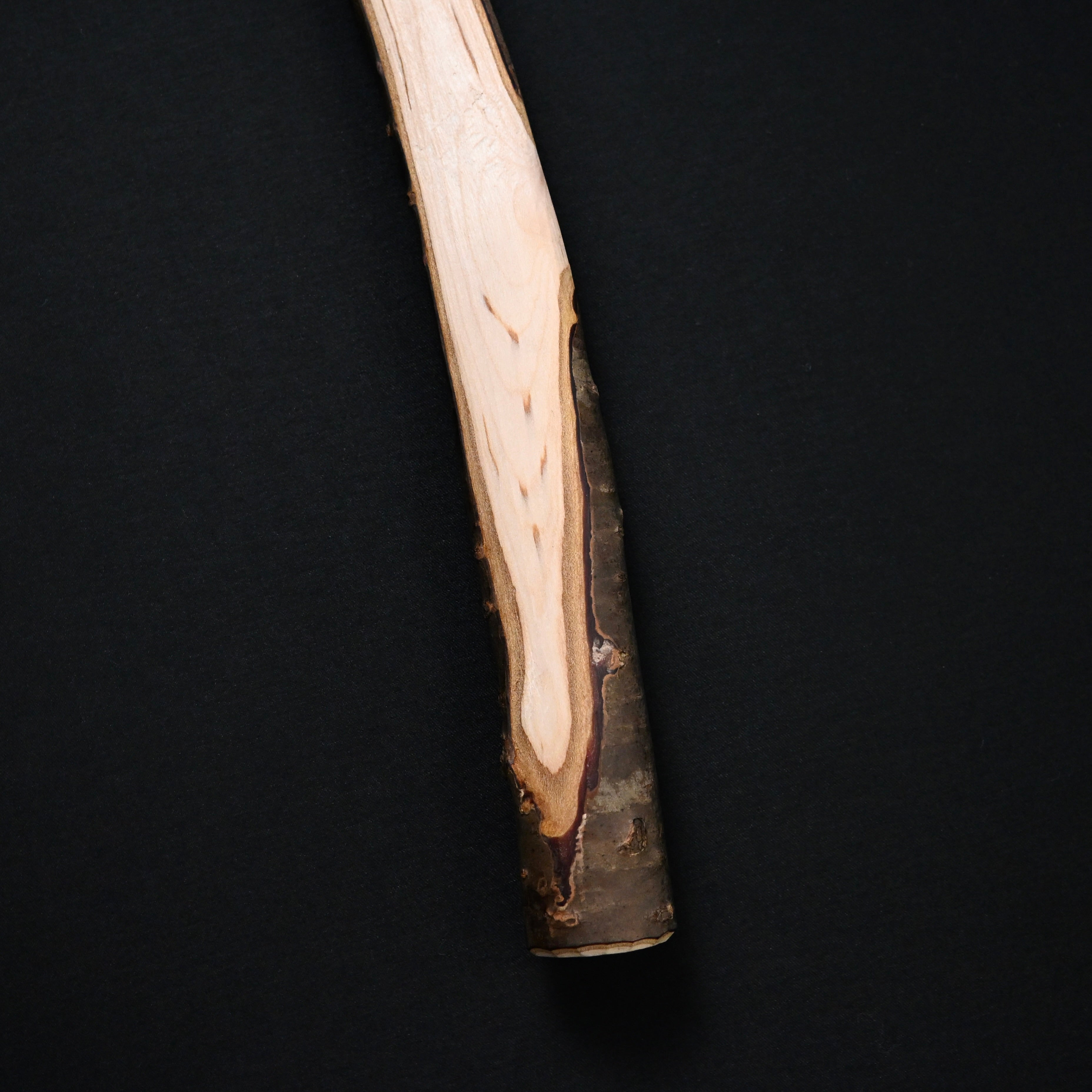 道心斎草志 山桜玄能柄 鉋仕上 小   Dōshinsai Sōshi Mountain Cherry Wood Handle Plane Finish Small