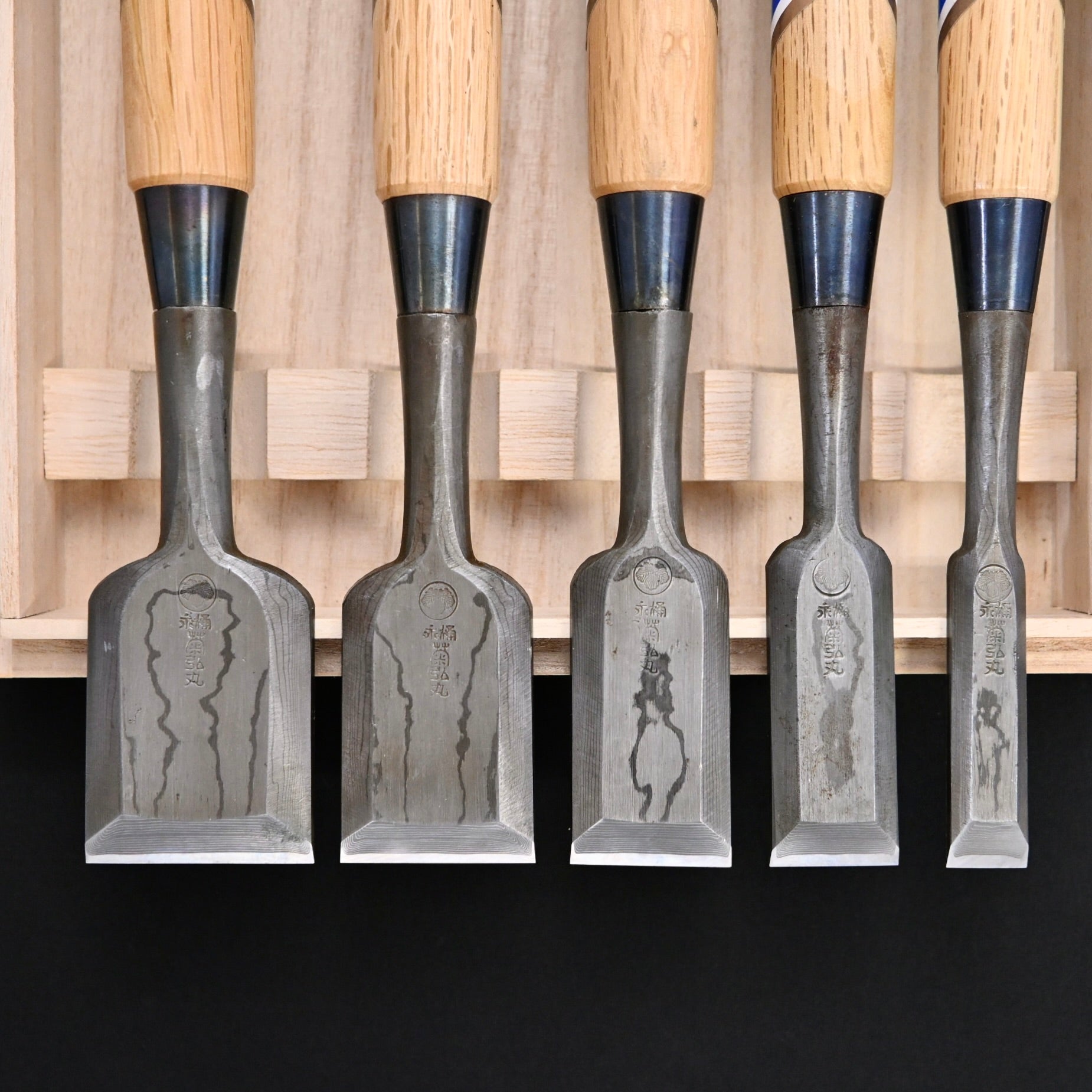 菊弘丸 追入組鑿 積層材 白樫柄 5本組    Kikuhiromaru Bench chisels set with white oak handle(Oirenomi)