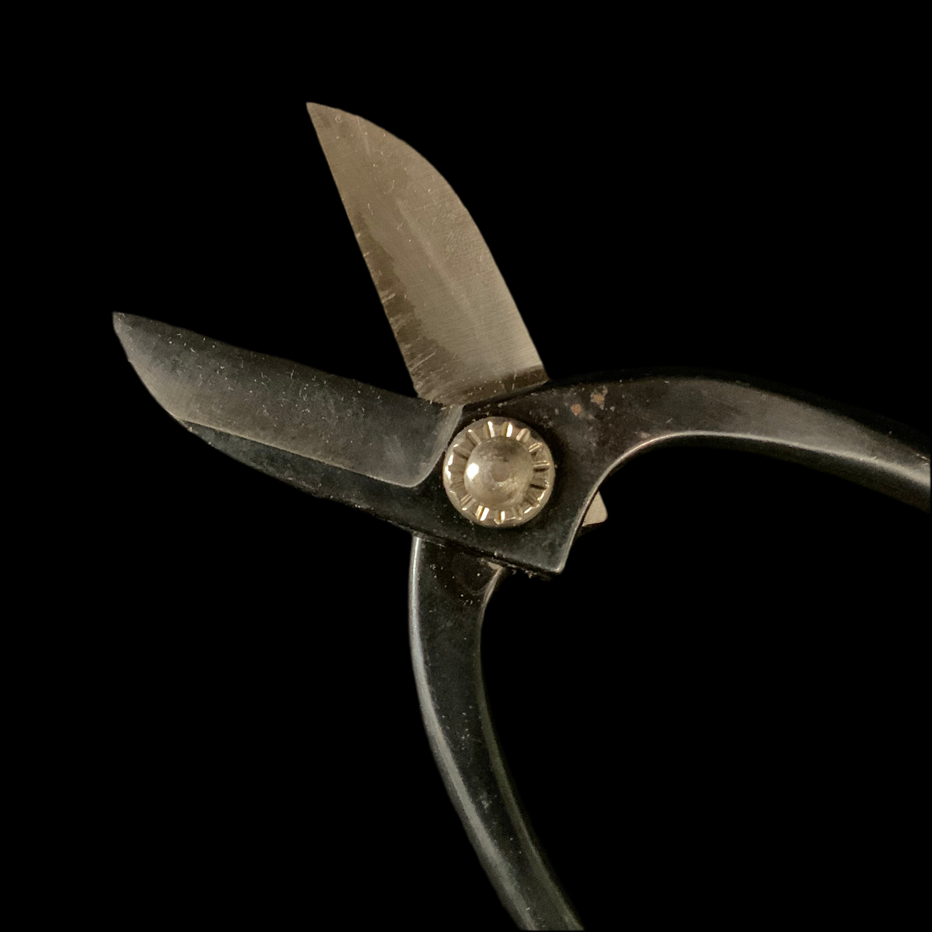 Old stock Genzo Flower shears stainless steel  掘り出し物 源造 ステンレス 花鋏 菊足 165mm 針金切り付き