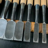 Takashiba Bench chisels set (Oirenomi) with wooden box 高芝 追入組鑿 白紙鋼 桐箱付