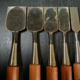 Old stock Kakukou Bench chisels set (Oirenomi) 郭公 追入組鑿  10本組