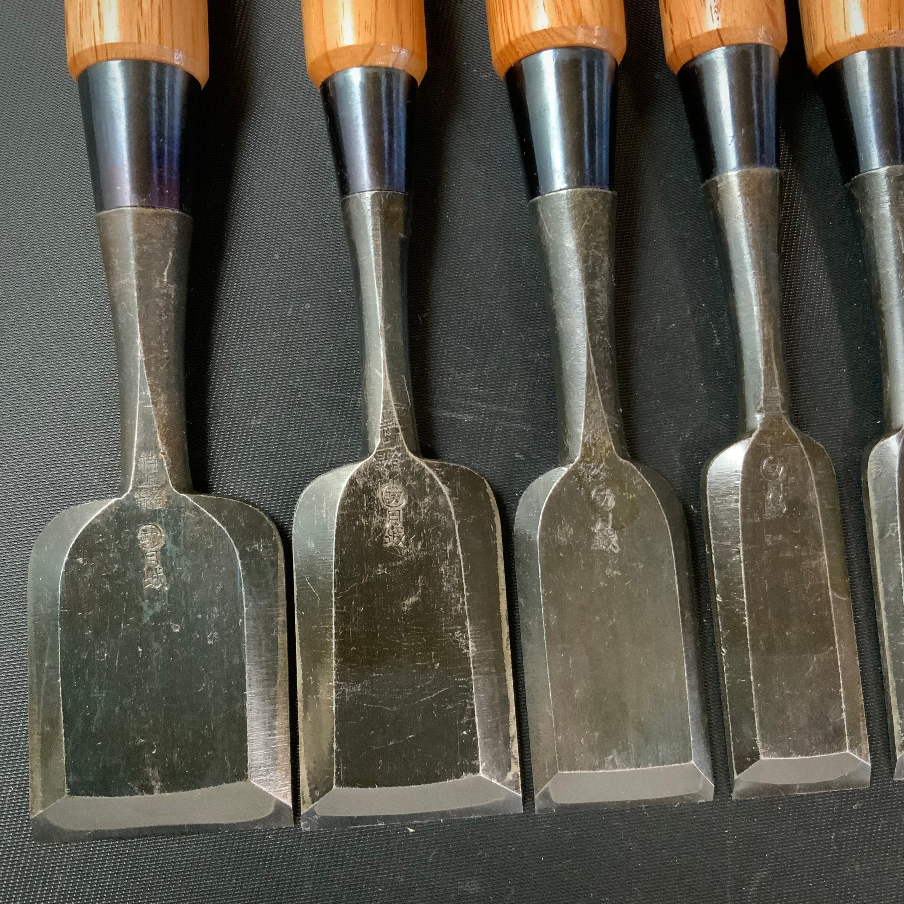 Tsukishiro Bench chisels set  10 Piece          月城 追入組鑿 白樫柄  Oirenomi