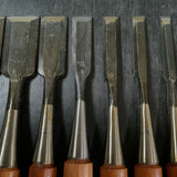 Old stock Kakukou Bench chisels set (Oirenomi) 郭公 追入組鑿  10本組