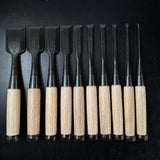 Takashiba Bench chisels set (Oirenomi) with wooden box 高芝 追入組鑿 青紙鋼 桐箱付