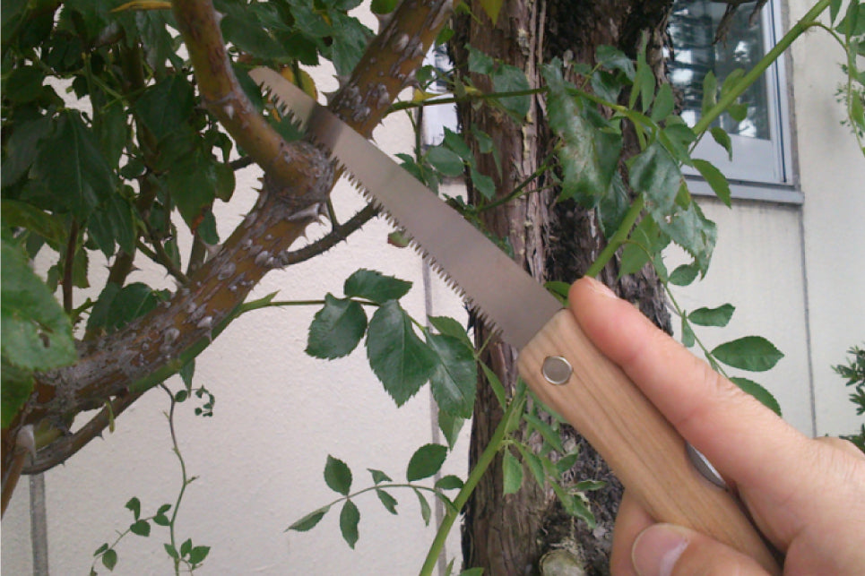 玉鳥産業 レザーソー プラントハンター ミニ  Gyokucho Razorsaw Japanese Plant Hunter mini TS144