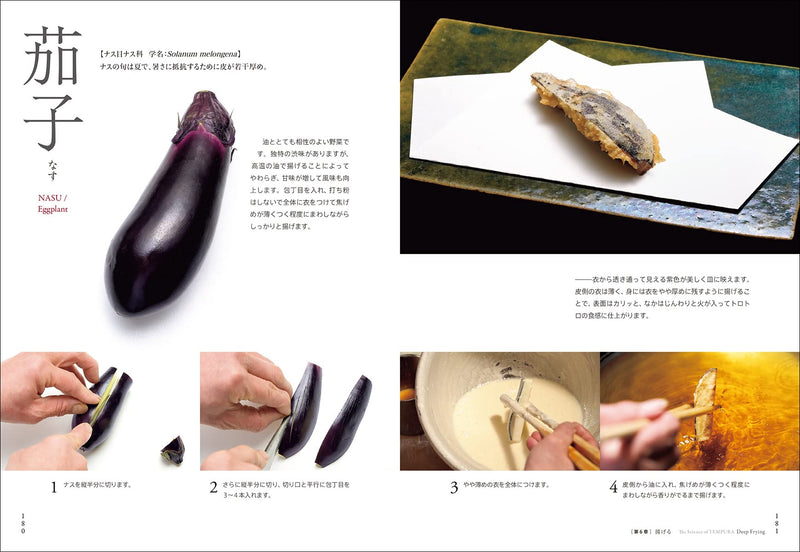 天ぷらのサイエンス: おいしさを作り出す理論と技術が見える　Science of tempura: See the theory and technology that creates deliciousness