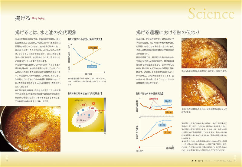 天ぷらの科学：おいしさを生み出す理論と技術を見る 天ぷらの科学：おいしさを理論と技術が見える