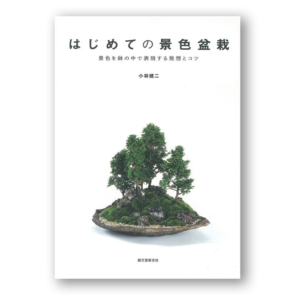My First View Scenery Bonsai: Vase in Line to freely and Tips はじめての 景色盆栽: 景色を鉢の中で表現する発想とコツ