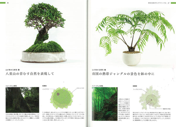 My First View Scenery Bonsai: Vase in Line to freely and Tips はじめての 景色盆栽: 景色を鉢の中で表現する発想とコツ