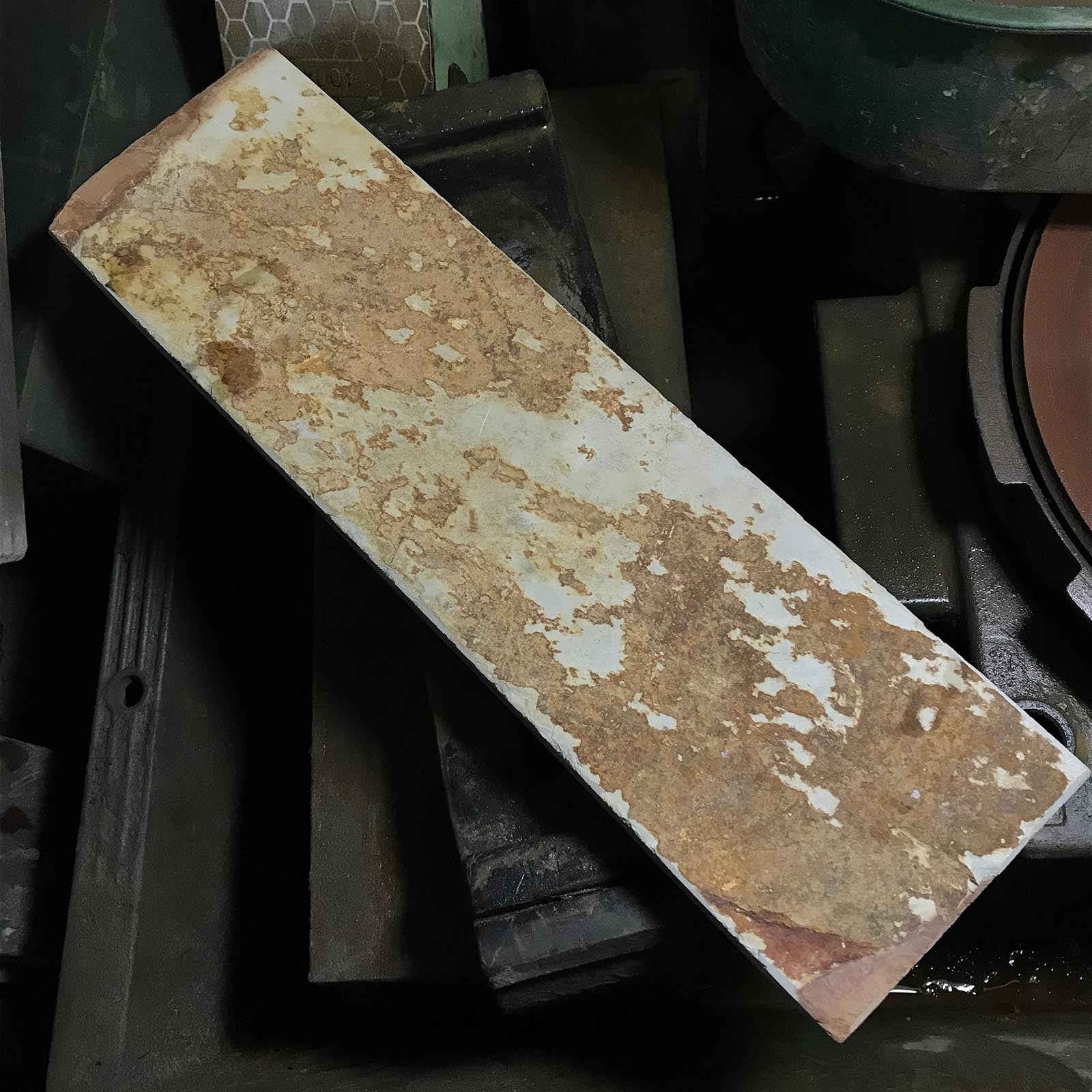 O5 奥戸羽二重 本巣板