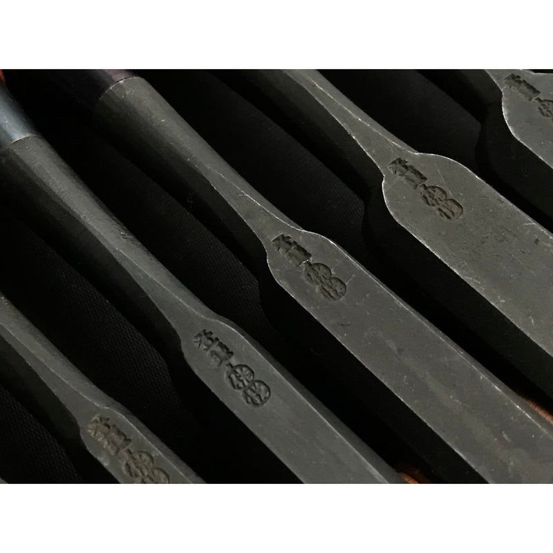 Tasai Bench chisels set with blue steel Oirenomi 田斎作 黒仕上 追入組鑿